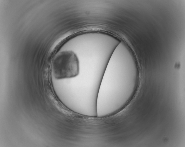 X0000113120827200908281040