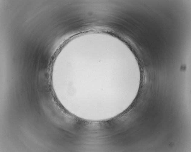 X0000113120828200908281040