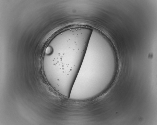 X0000113120829200908281040