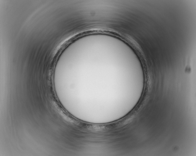 X0000113120831200908281040