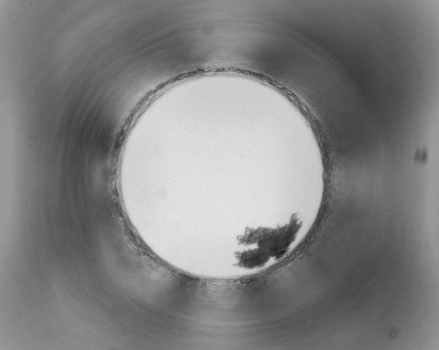 X0000113120832200908281040