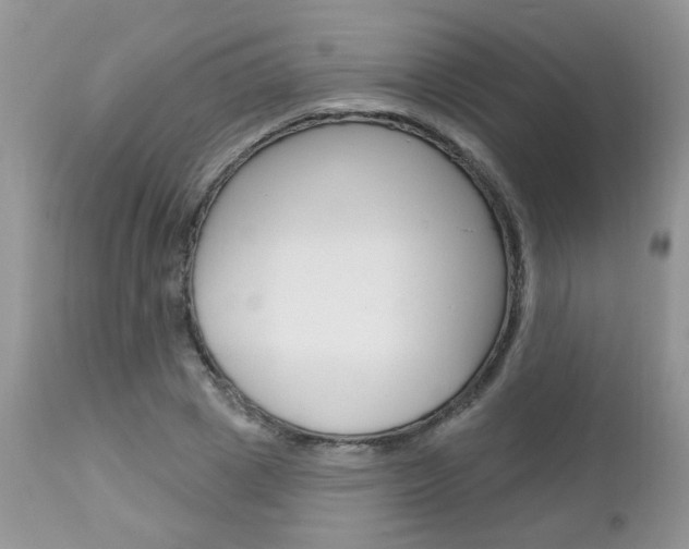 X0000113120833200908281040