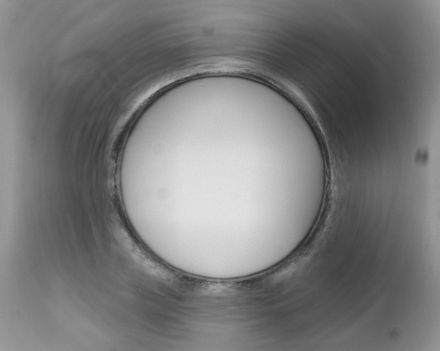 X0000113120835200908281040