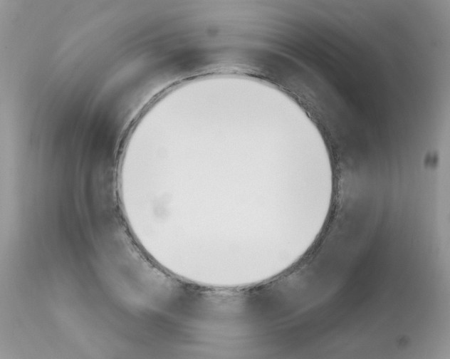 X0000113120836200908281040