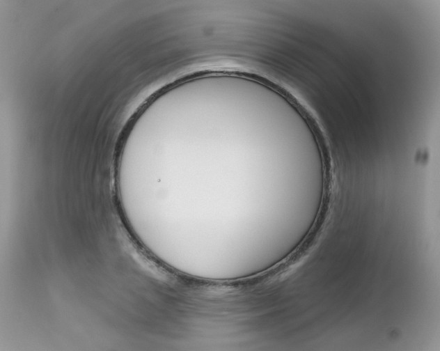 X0000113120837200908281040