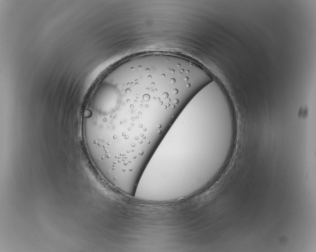 X0000113120838200908281040