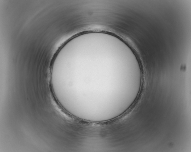 X0000113120839200908281040