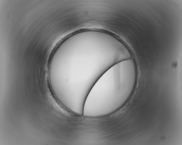X0000113120840200908281040