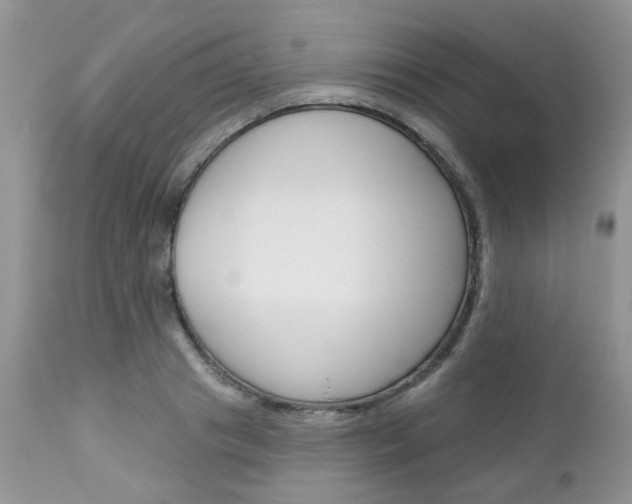 X0000113120841200908281040