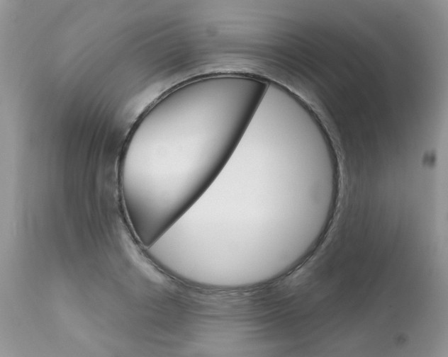 X0000113120842200908281040
