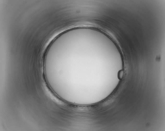 X0000113120843200908281040