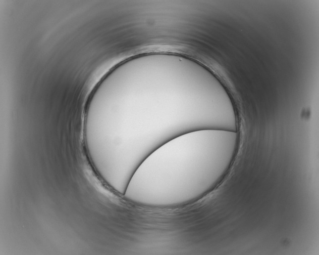 X0000113120844200908281040