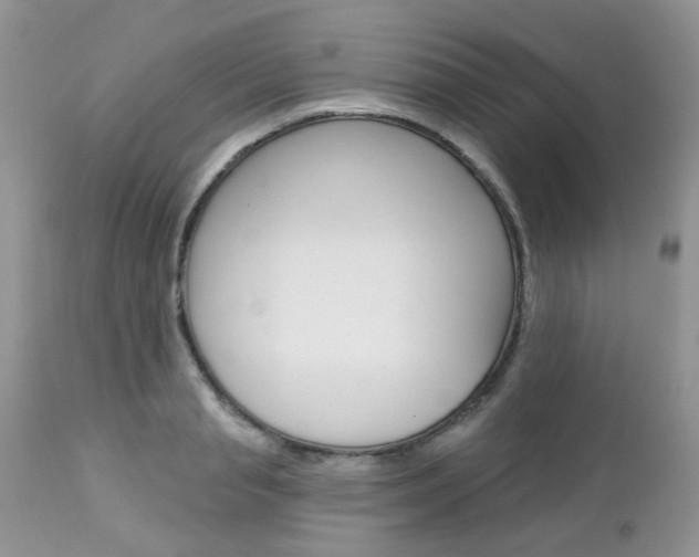 X0000113120845200908281040