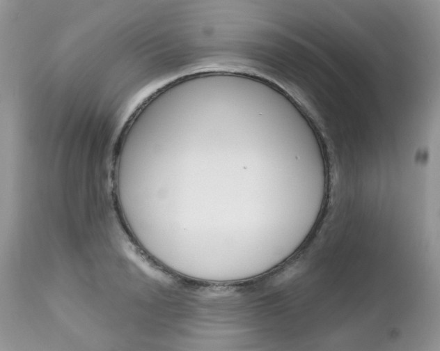 X0000113120846200908281040