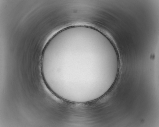 X0000113120847200908281040