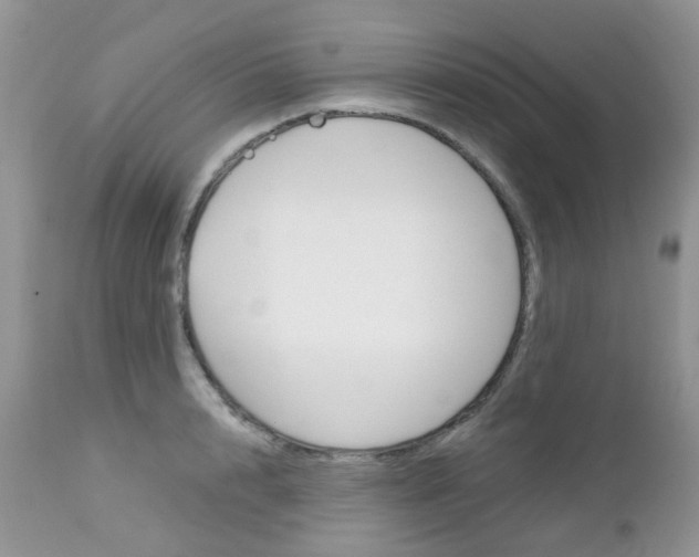 X0000113120848200908281040