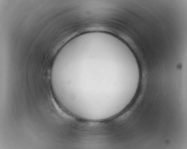 X0000113120849200908281040