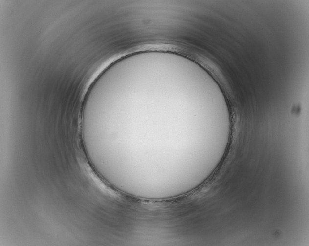 X0000113120852200908281040
