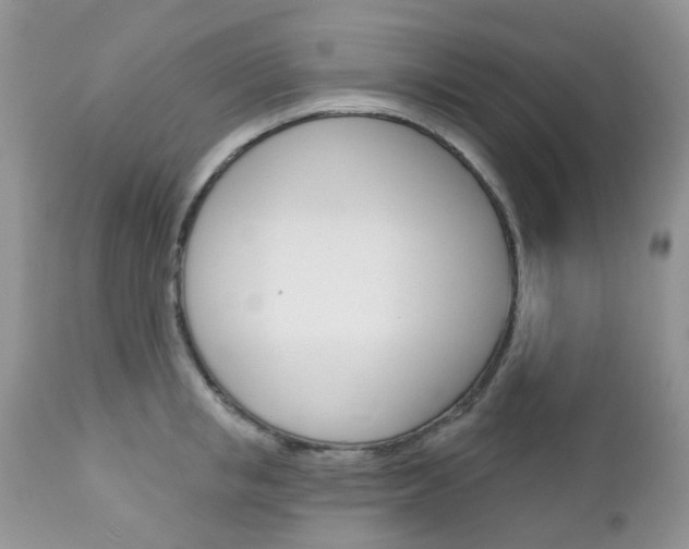 X0000113120853200908281040