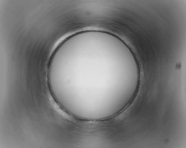 X0000113120854200908281040