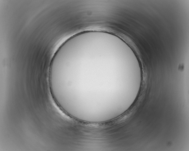 X0000113120855200908281040