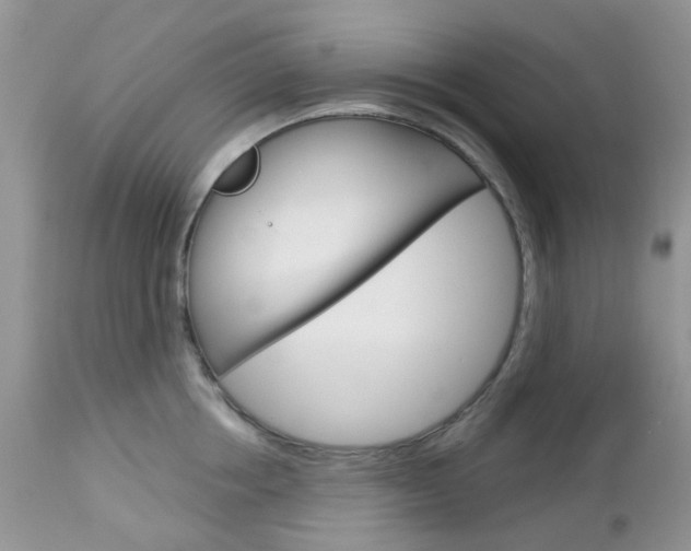 X0000113120858200908281040
