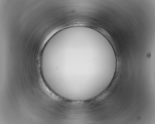 X0000113120859200908281040