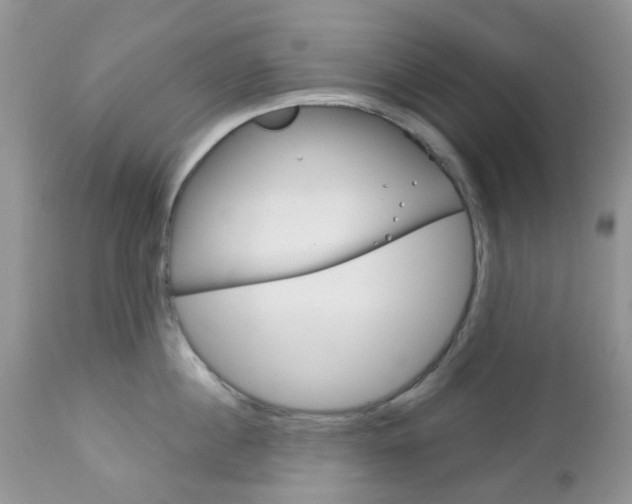 X0000113120860200908281040