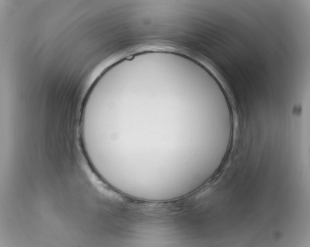 X0000113120861200908281041