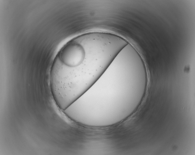 X0000113120862200908281041