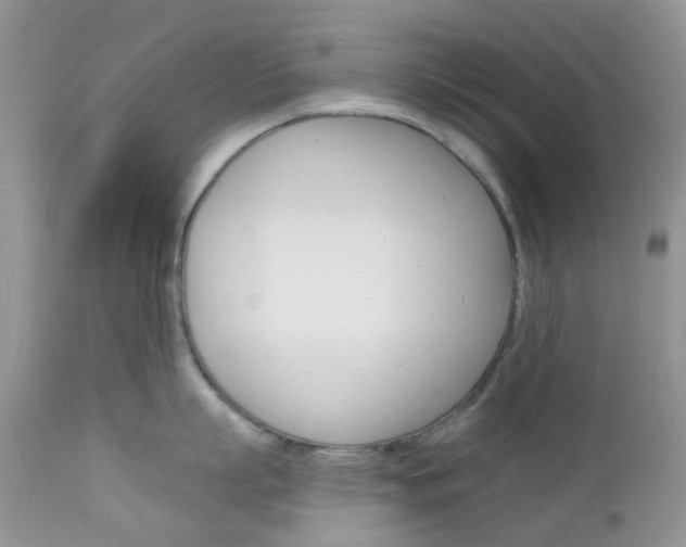 X0000113120863200908281041
