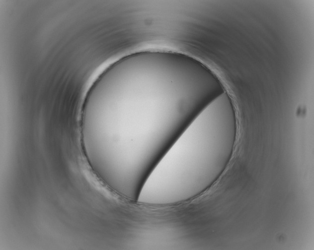 X0000113120864200908281041