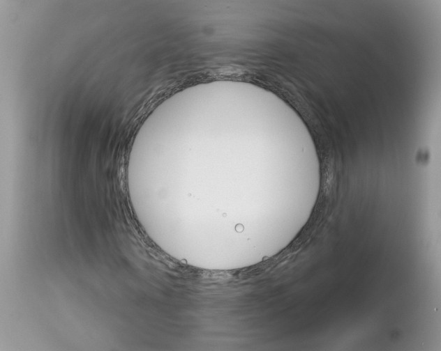 X0000113120866200908281040