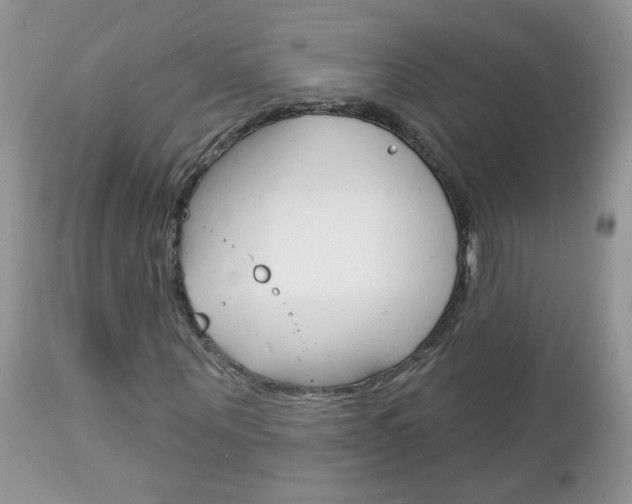 X0000113120867200908281040