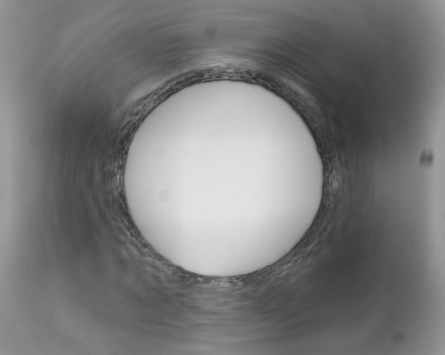 X0000113120869200908281040