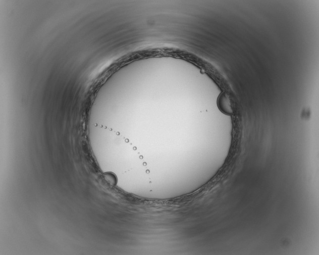 X0000113120871200908281040