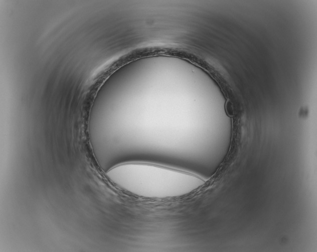 X0000113120872200908281040