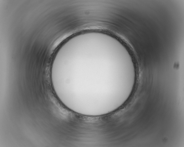 X0000113120874200908281040