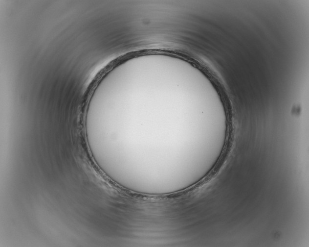 X0000113120875200908281040