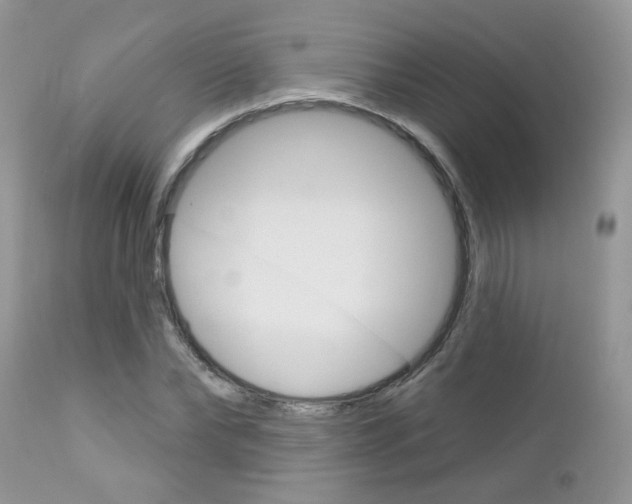 X0000113120878200908281040