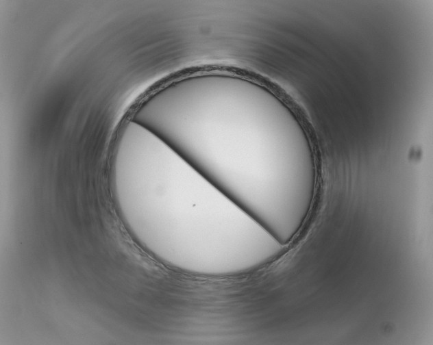 X0000113120879200908281040