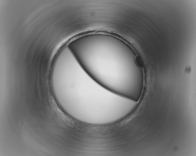 X0000113120880200908281040