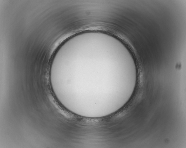 X0000113120882200908281040