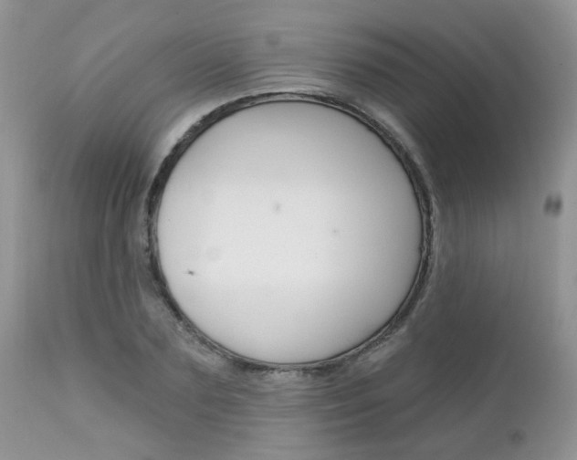X0000113120883200908281040