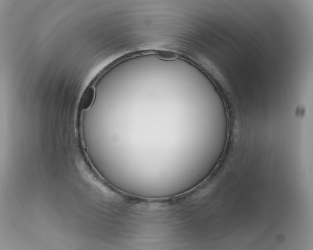 X0000113120884200908281040