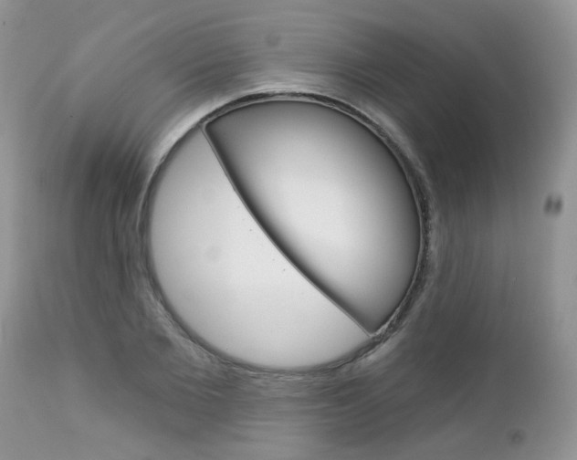 X0000113120885200908281040