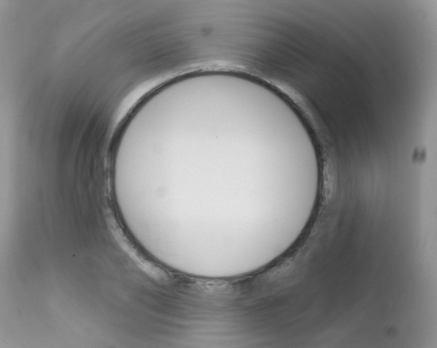 X0000113120886200908281040