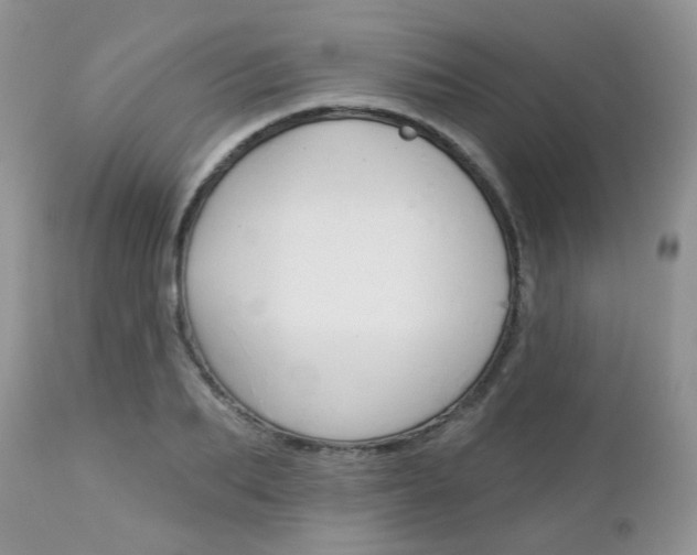 X0000113120887200908281040