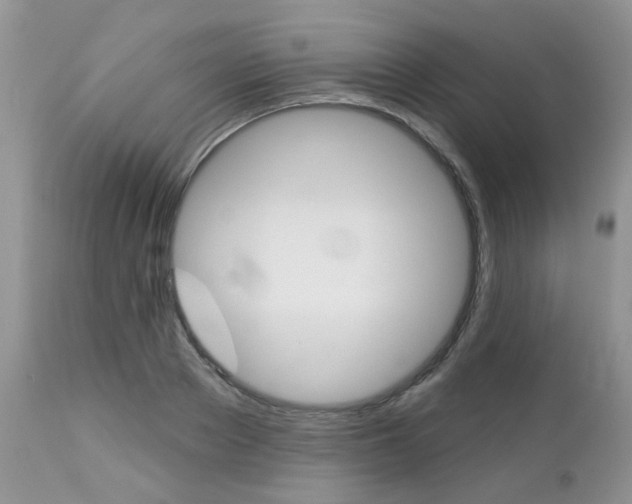 X0000113120889200908281040