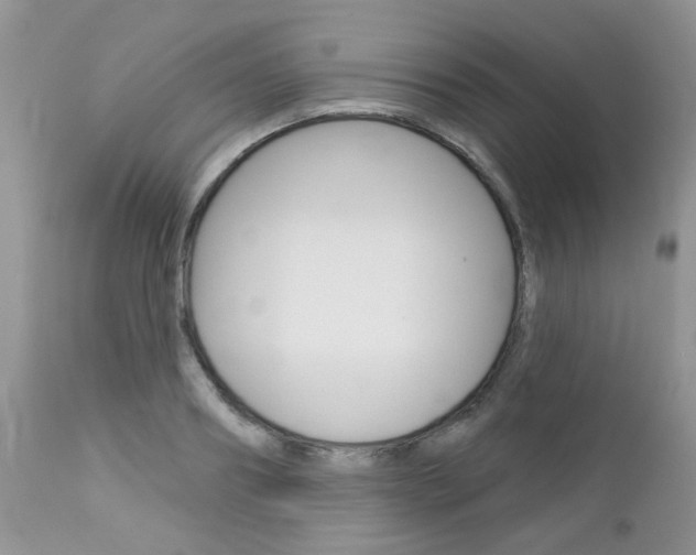 X0000113120890200908281040